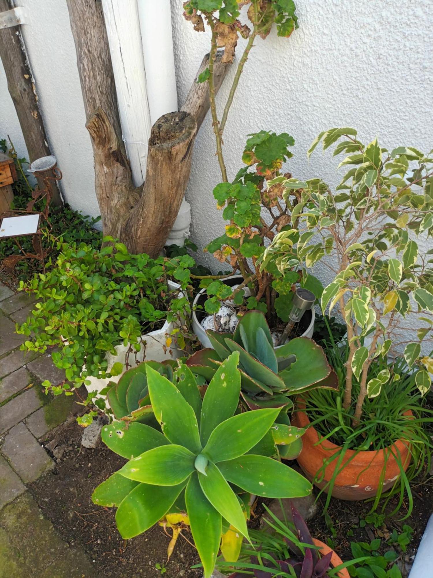 Self Catering Unit 7, Sandbaai Hermanus Pokoj fotografie